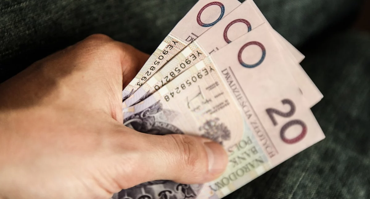 Zdjęcie banknotów trzymanych w dłoni/ Pixabay.com