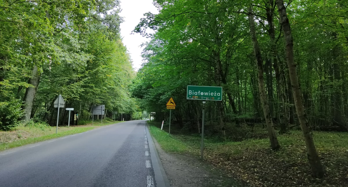 Zdjęcie znaku z nazwą miejscowości Białowieża/ Fakty Białystok