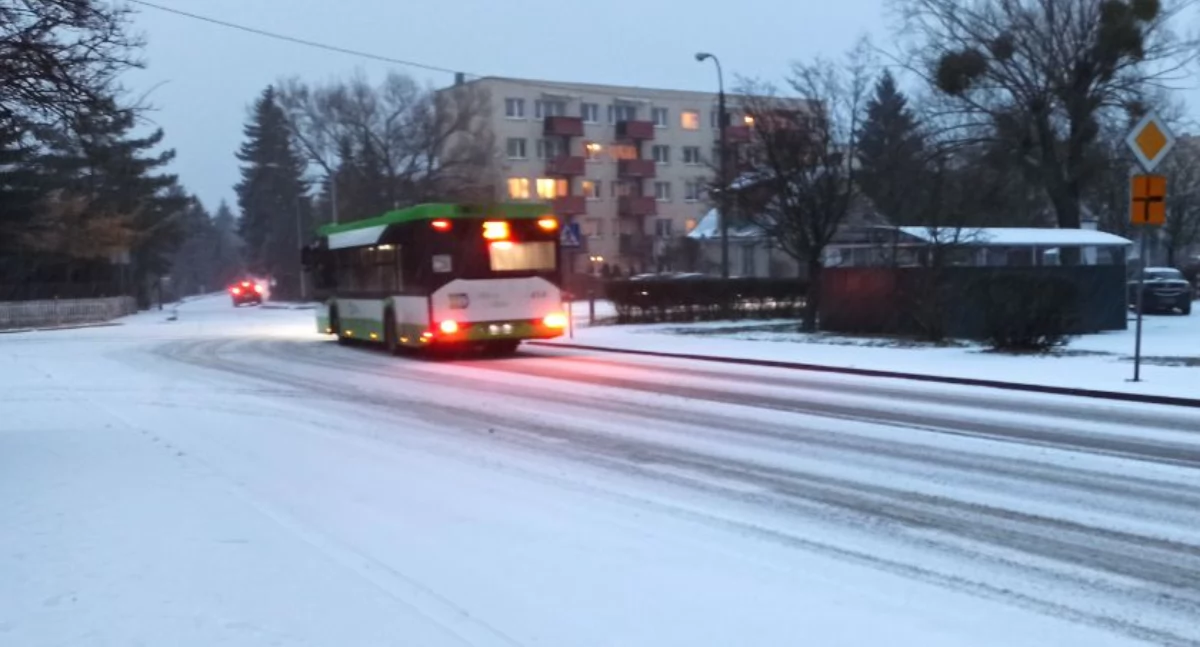 Fot. ddp24.pl