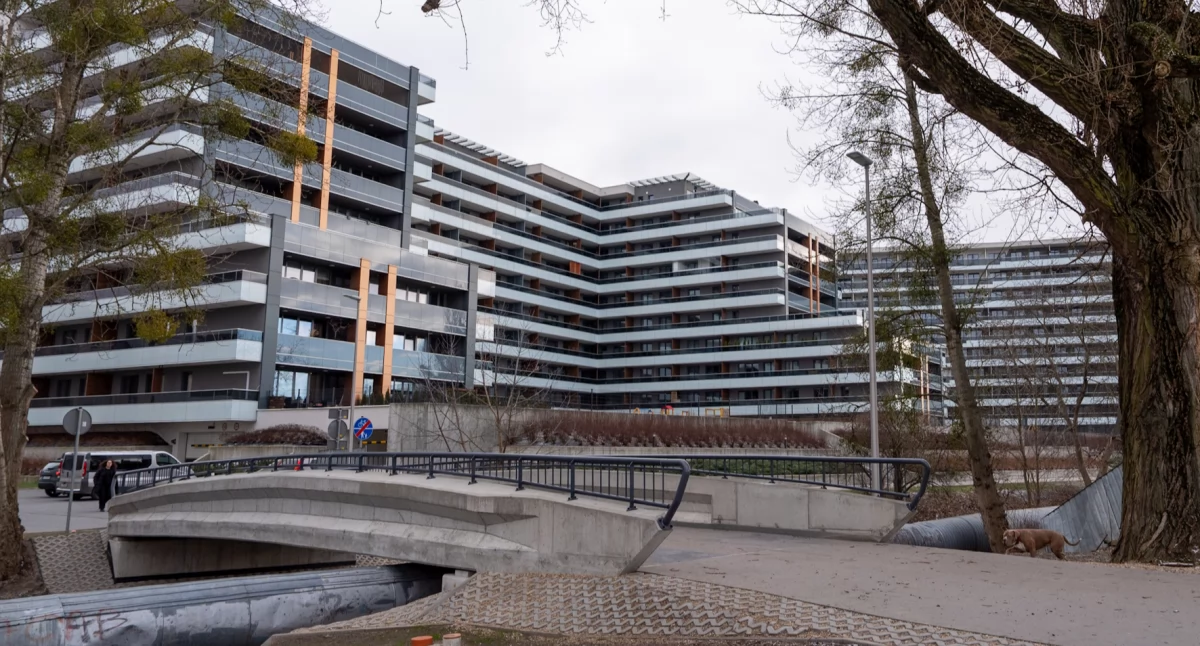 Zdjęcie kładki na rzece Białej przy ul. Jurowieckiej/ bialystok.pl