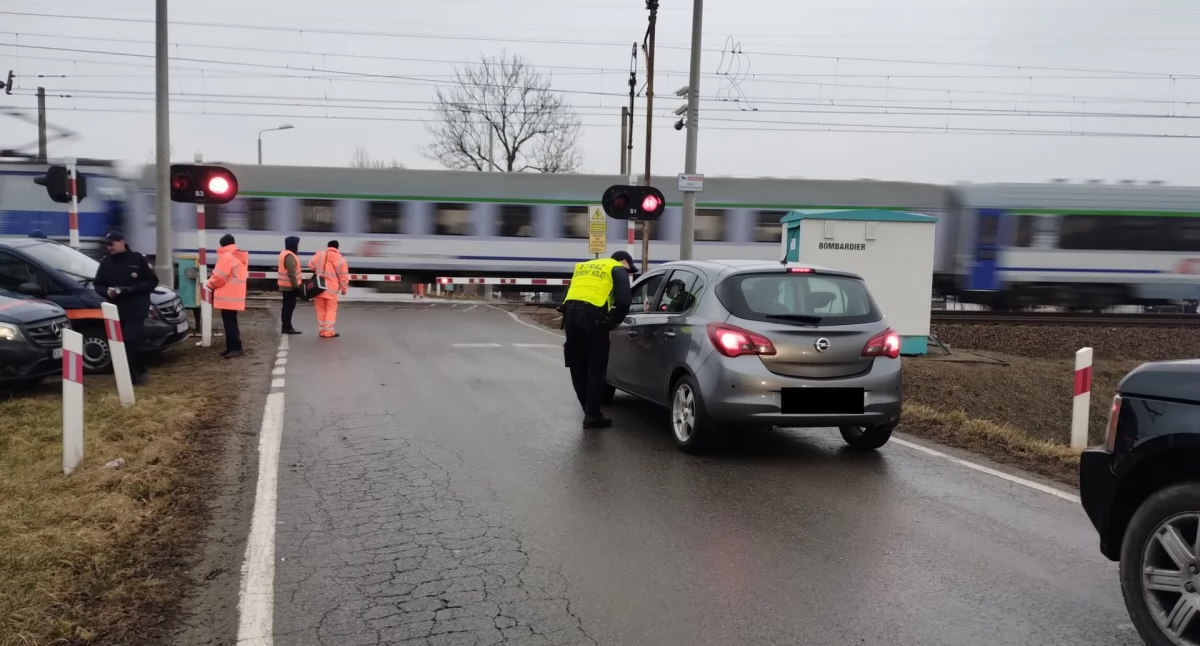 Zdjęcie samochodów i pociągu na przejeździe kolejowym/ PKP PLK