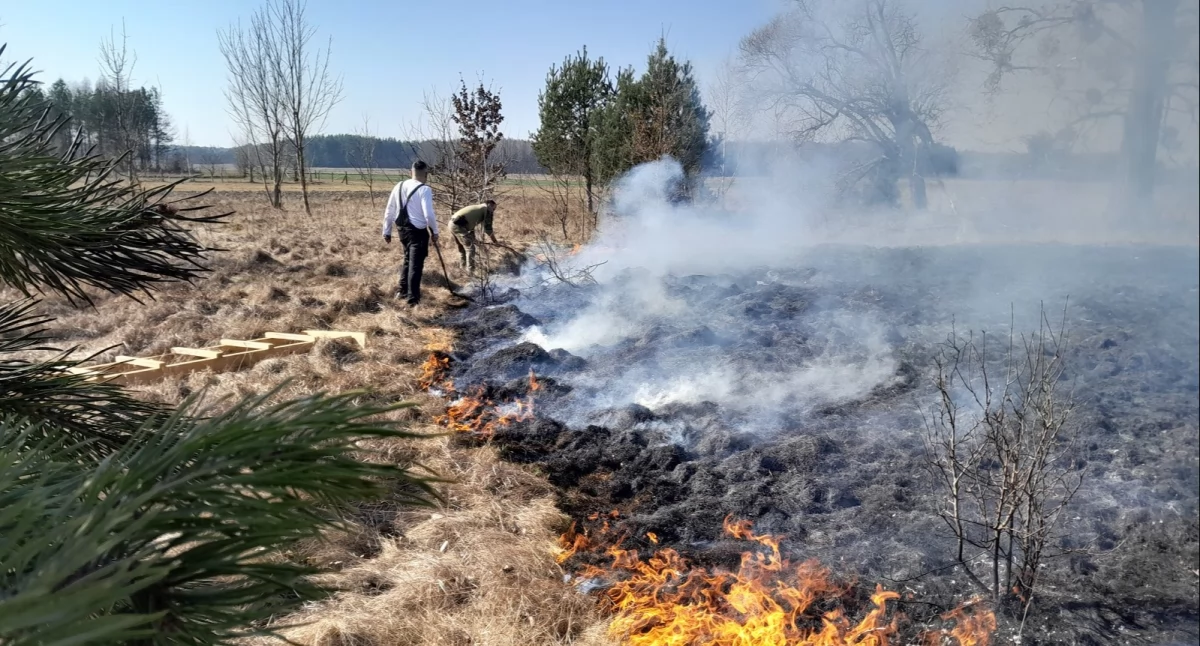 Zdjęcie strażników granicznych gaszących pożar/ SG