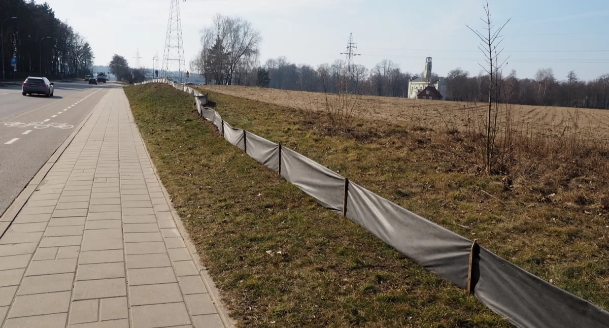 Zdjęcie zabezpieczeń dla płazów na osiedlu Dojlidy w Białymstoku/ bialystok.pl