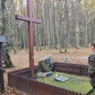 Fotka nr 3 z 11