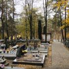 zdjęcie nr 20