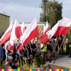 zdjęcie nr 17