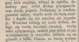 Fotka nr 3 z 4