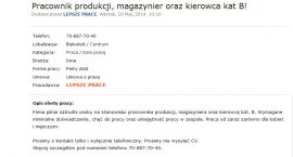 ogłoszenie oszustwo