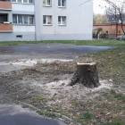 Fotka nr 5 z 10