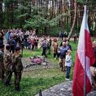 zdjęcie nr 17