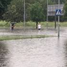 zdjęcie nr 7