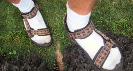 sandal