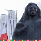 zdjęcie nr 12