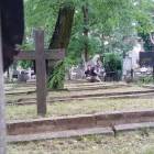 zdjęcie nr 16