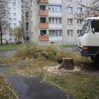 Fotka nr 2 z 10