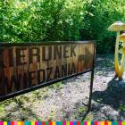 zdjęcie nr 11
