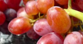 grapes-1440302-m