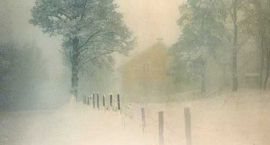 zamiec-sniezna-i-won-migdalow-b-iext18507851 (400x600)