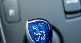 auris (1 of 8)
