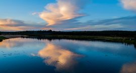 _DSC0051