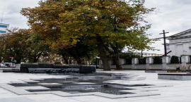 _DSC0067