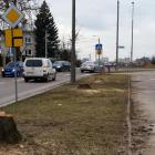 zdjęcie nr 14