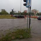 zdjęcie nr 21