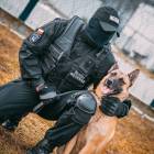 Fotka nr 5 z 10