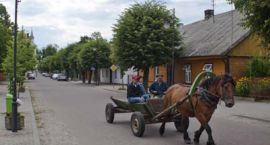 zdjęcie nr 8
