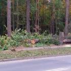 zdjęcie nr 11