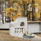 zdjęcie nr 36