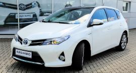 auris (5 of 8)