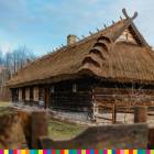 zdjęcie nr 21