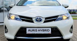 auris (4 of 8)
