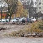 zdjęcie nr 8