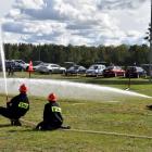 Fotka nr 2 z 13