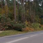 zdjęcie nr 10