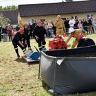Fotka nr 1 z 13