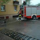 zdjęcie nr 7