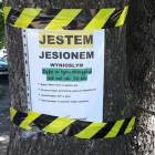 zdjęcie nr 8