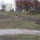 zdjęcie nr 11