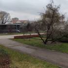 zdjęcie nr 12