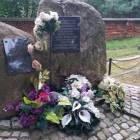 zdjęcie nr 19