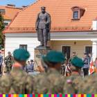 zdjęcie nr 9