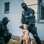 Fotka nr 3 z 10