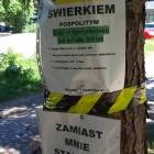 zdjęcie nr 10