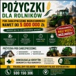 zdjęcie nr 
