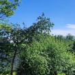 zdjęcie nr 