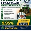 zdjęcie nr 