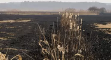 Pożar strawił prawie 90 hektarów Biebrzańskiego Parku Narodowego. Jest apel o kategoryczne niewypalanie traw